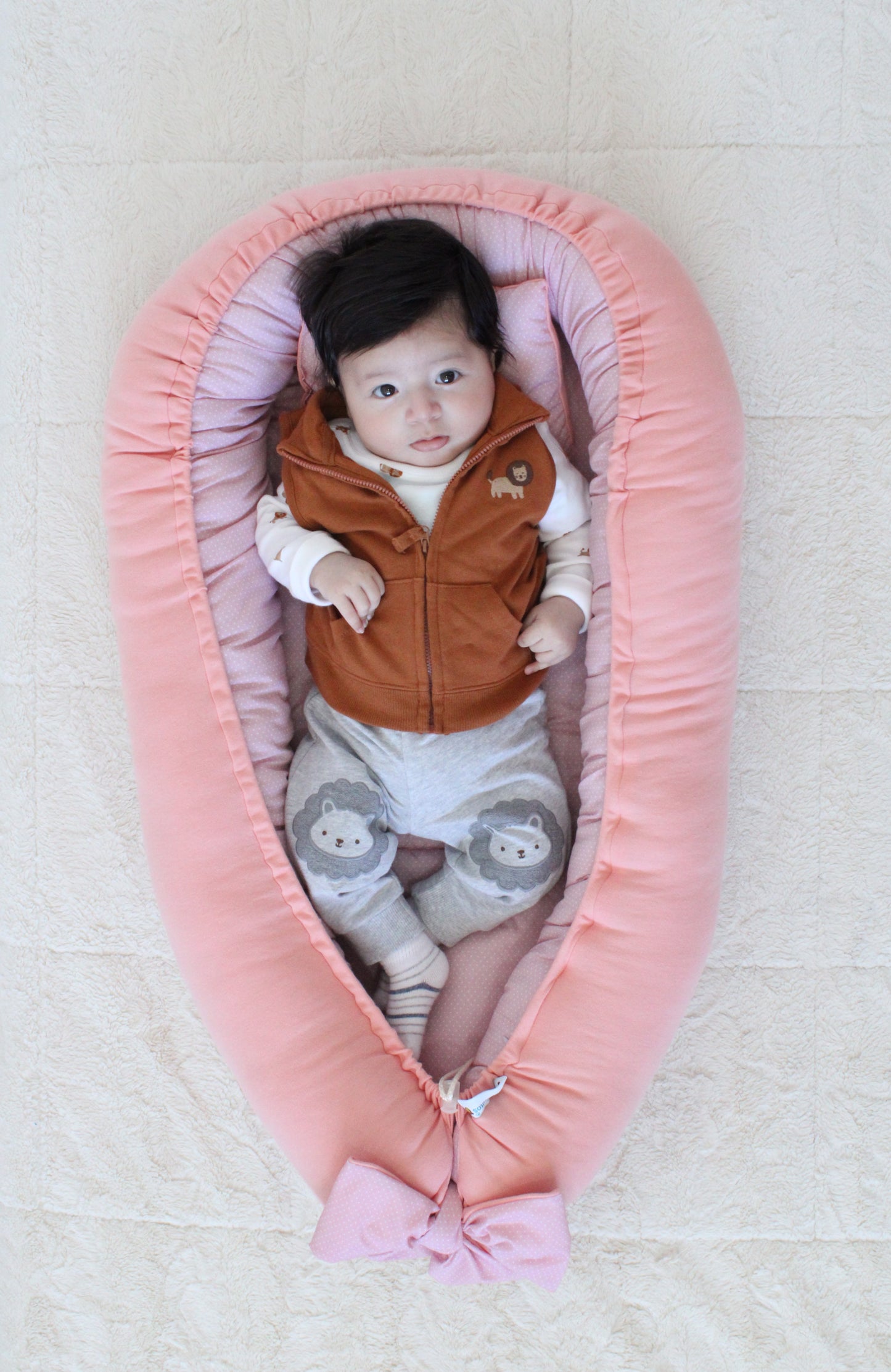 Oferta Introducción!! Nido Colecho Envío Gratis Changuitos